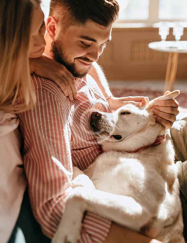 custom img 21 copyright